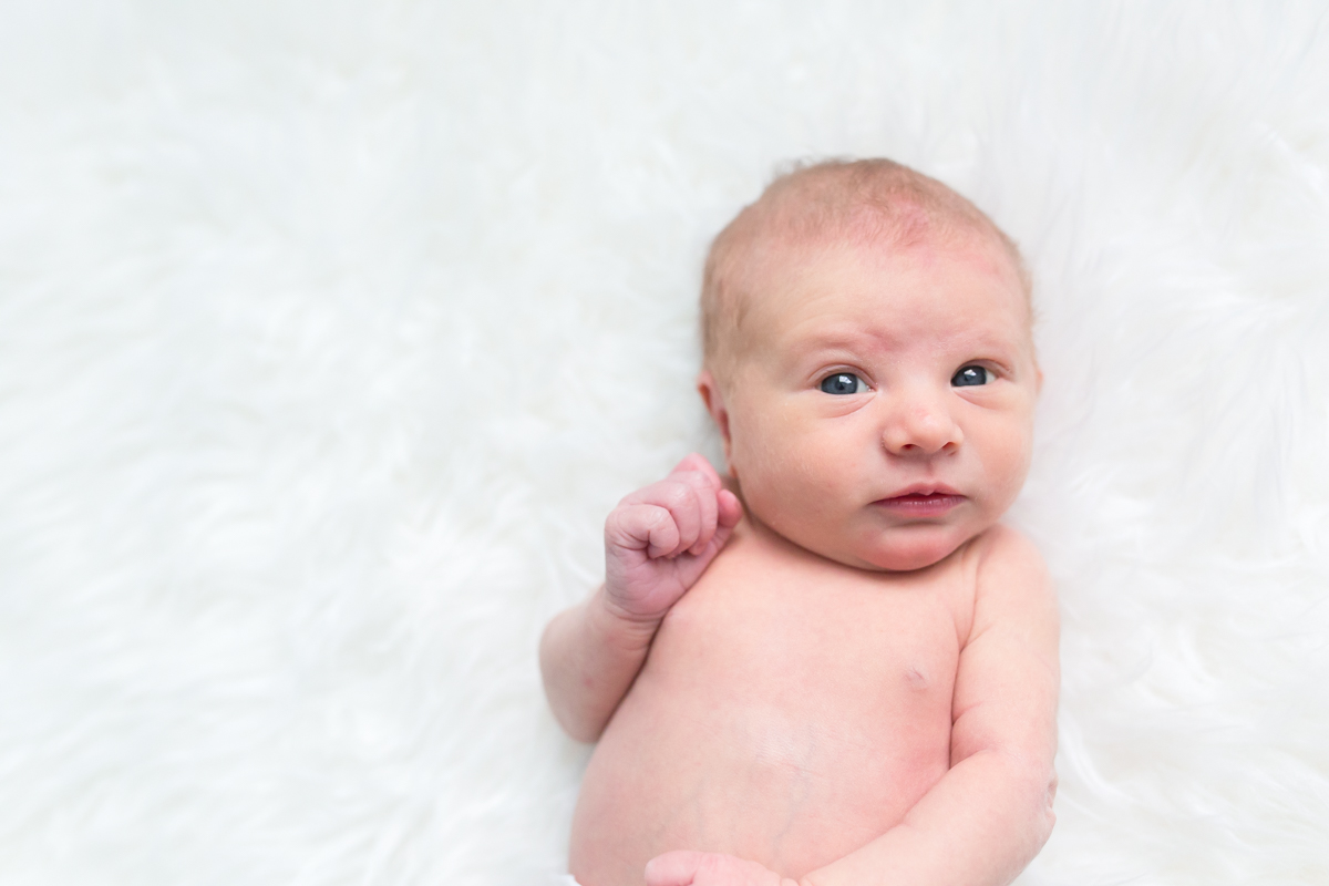 Lehigh valley newborn photographer