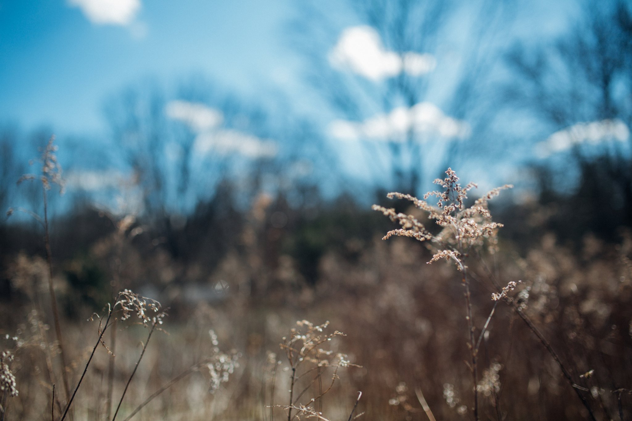 LehighValleyBucksCountyFamilyChildPhotographerAnneMarieHamant_1051.jpg