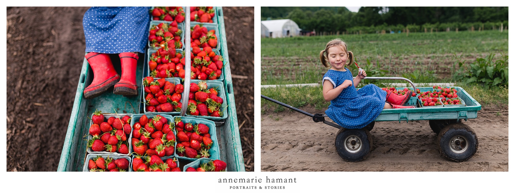 Bucks County Strawberry Picking Child Photographer