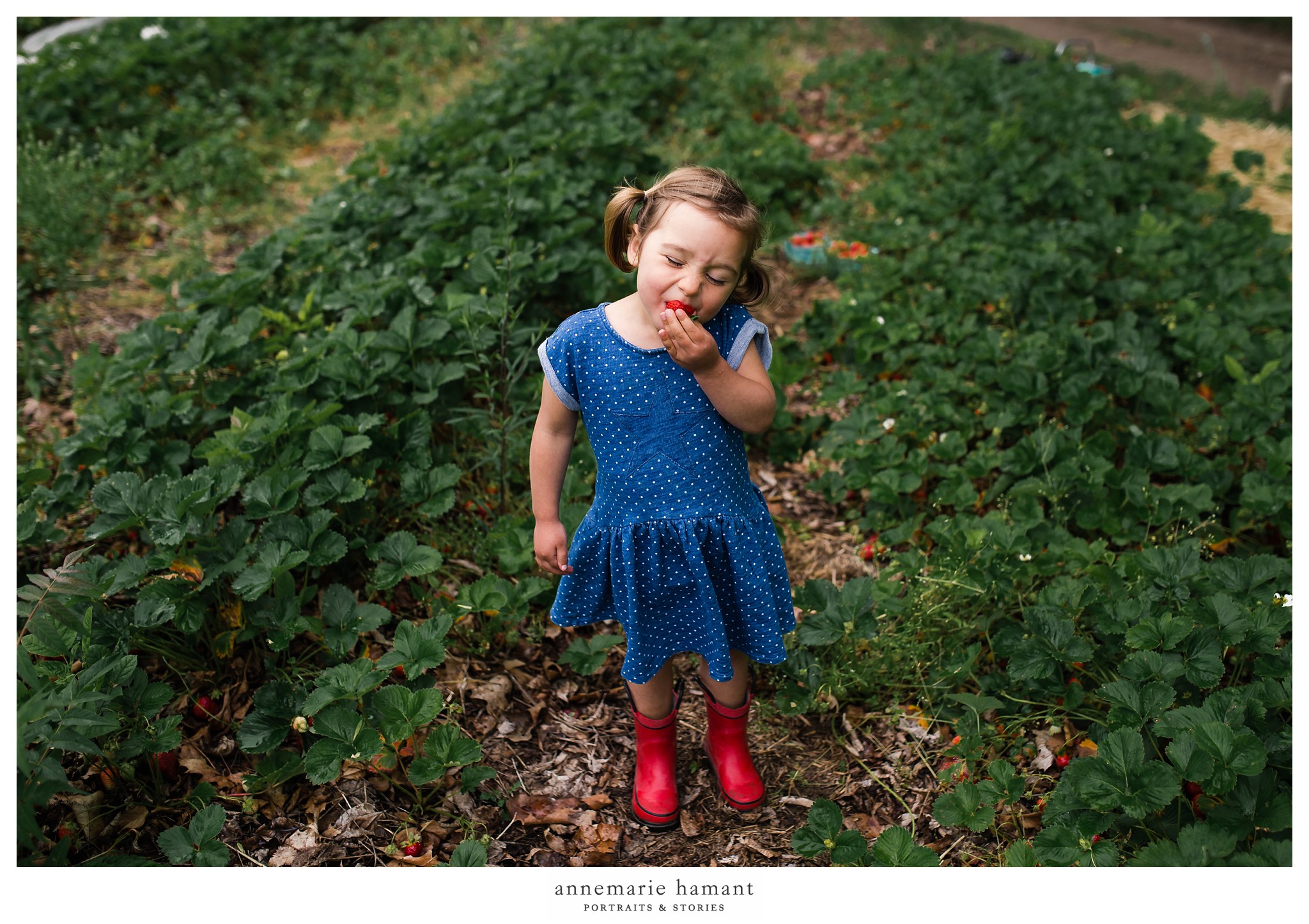 Bucks County Strawberry Picking Child Photographer