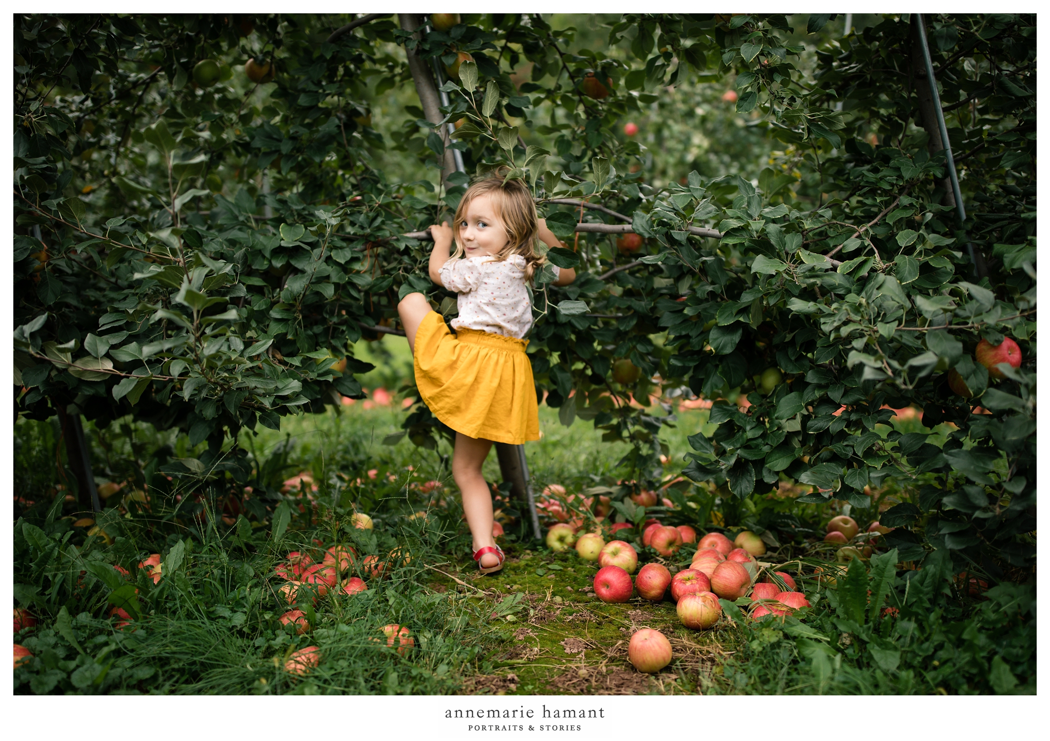 Lehigh Valley Fall Pictures Family Photographer