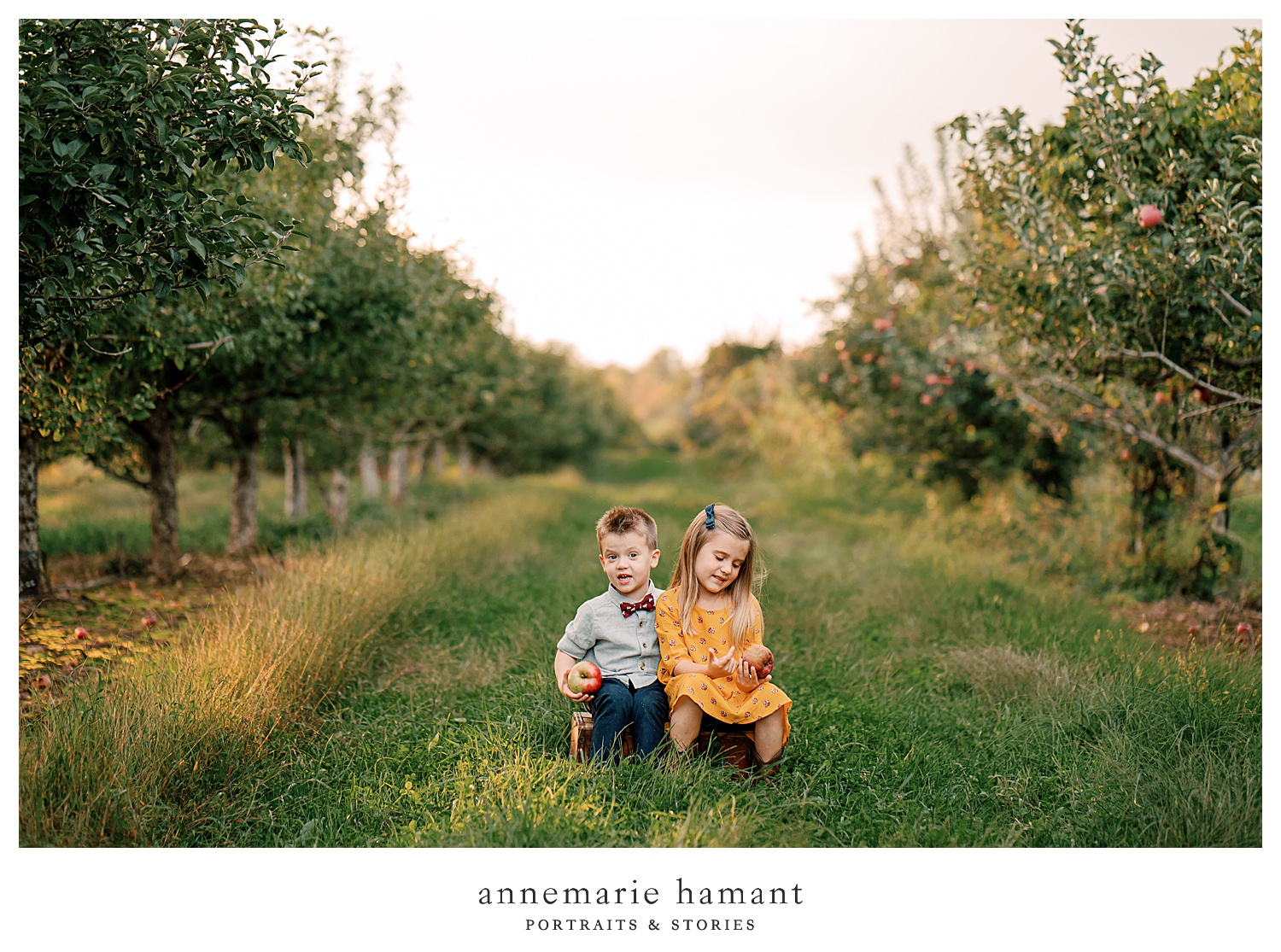 Fall family photos in an apple orchard in Lehigh Valley PA. The orchard is fun and gets gorgeous sunset light and makes for the perfect fall backdrop.