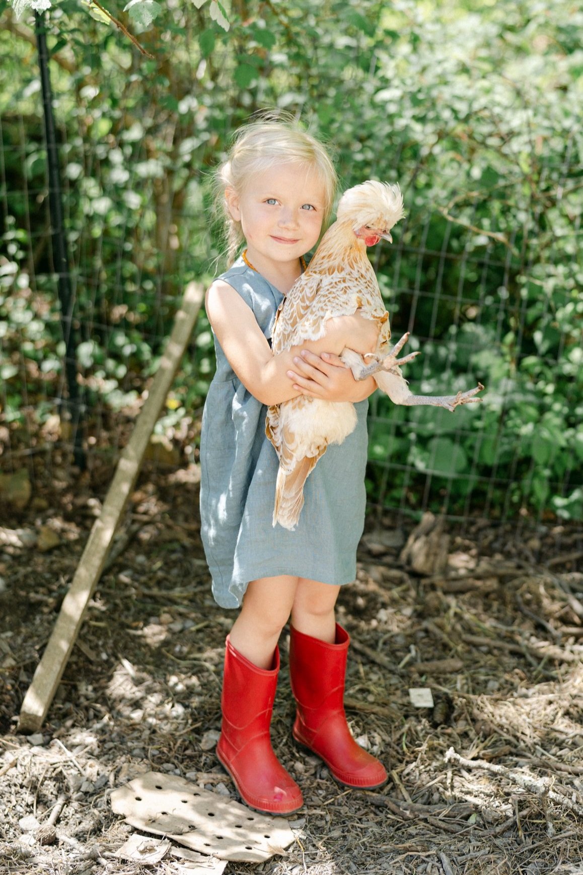 Armed with her polish chicken, a little blonde haired girl stands in her red rain boots in her Bucks County PA spring garden