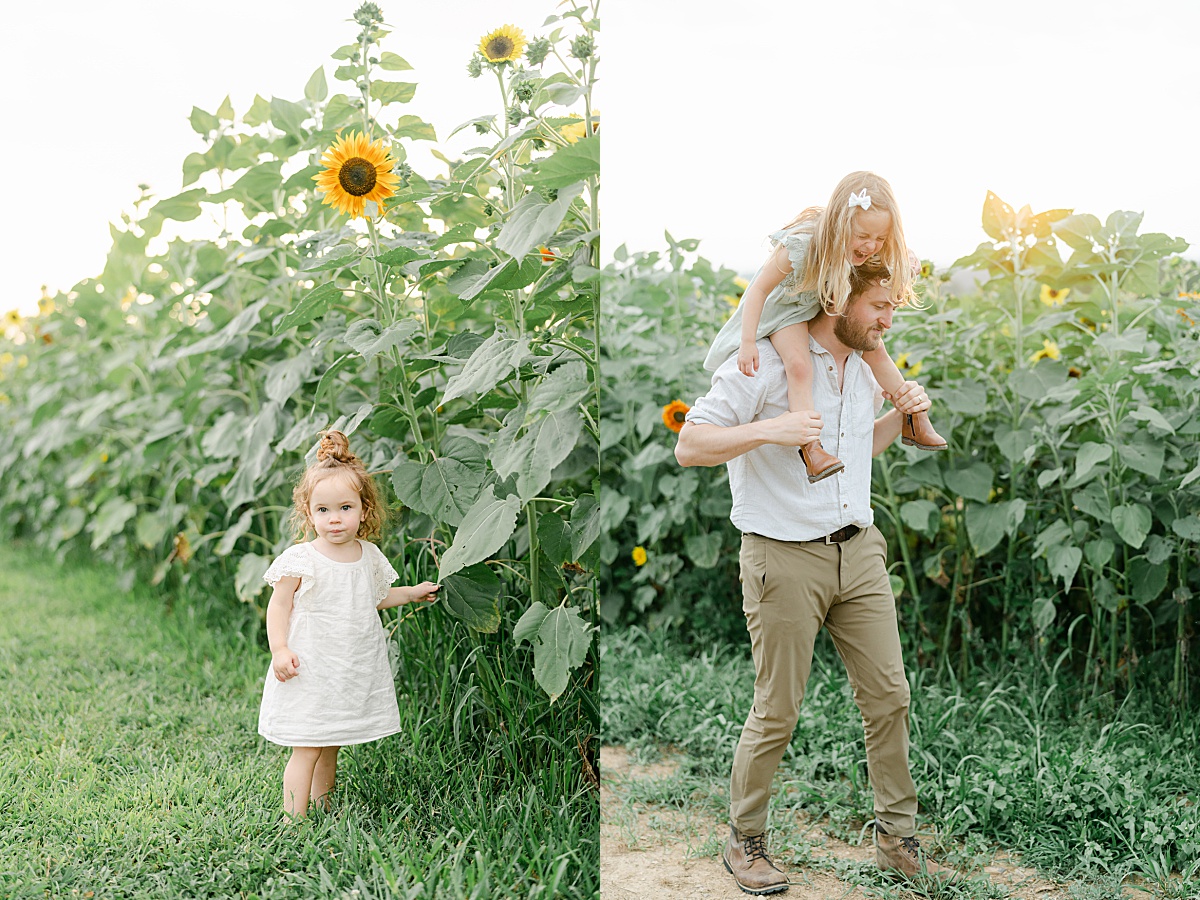 father and his daughters playing in sunflower field
