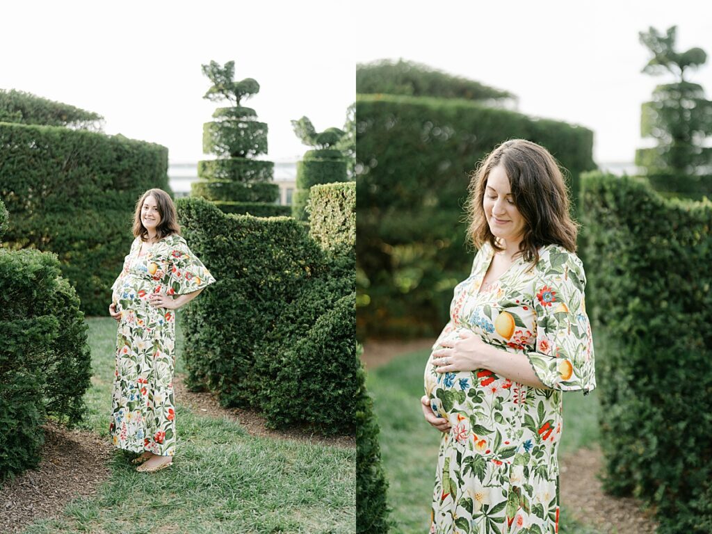 a maternity session for a pregnant mother to be standing in a shrub garden in floral pattern dress at Longwood Gardens