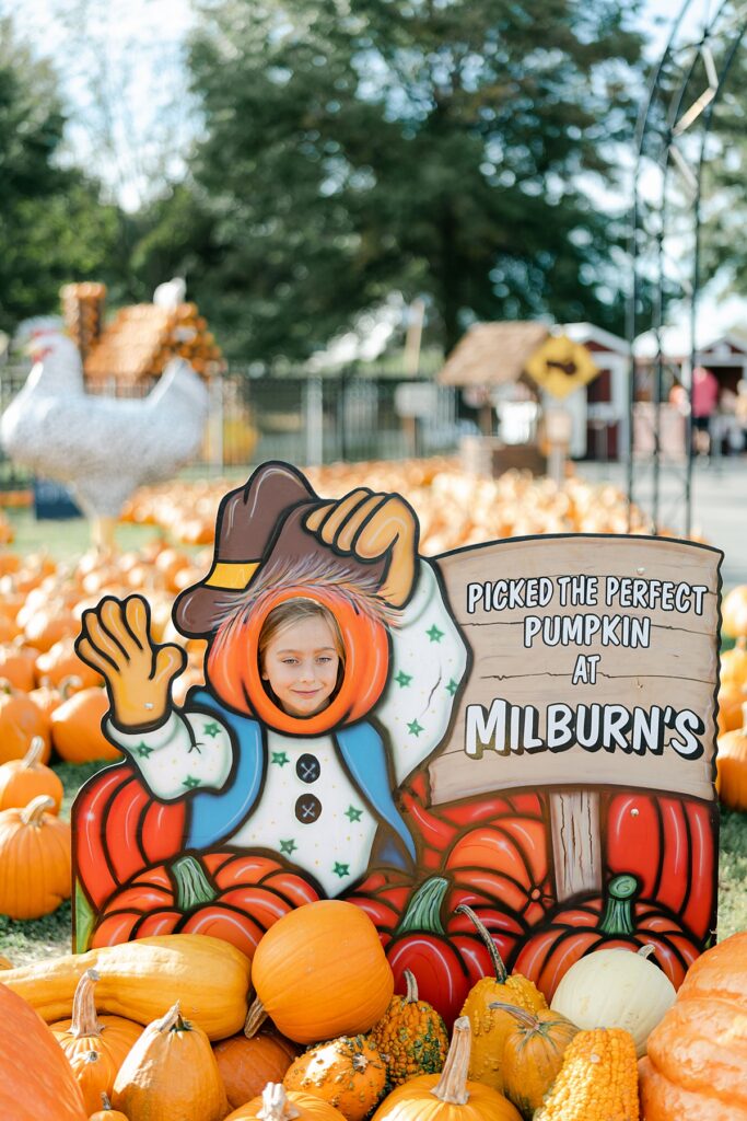 Little girl putting head into a pumpkin pictures spot at Milburns Orchard pumpkin patch near West Chester PA