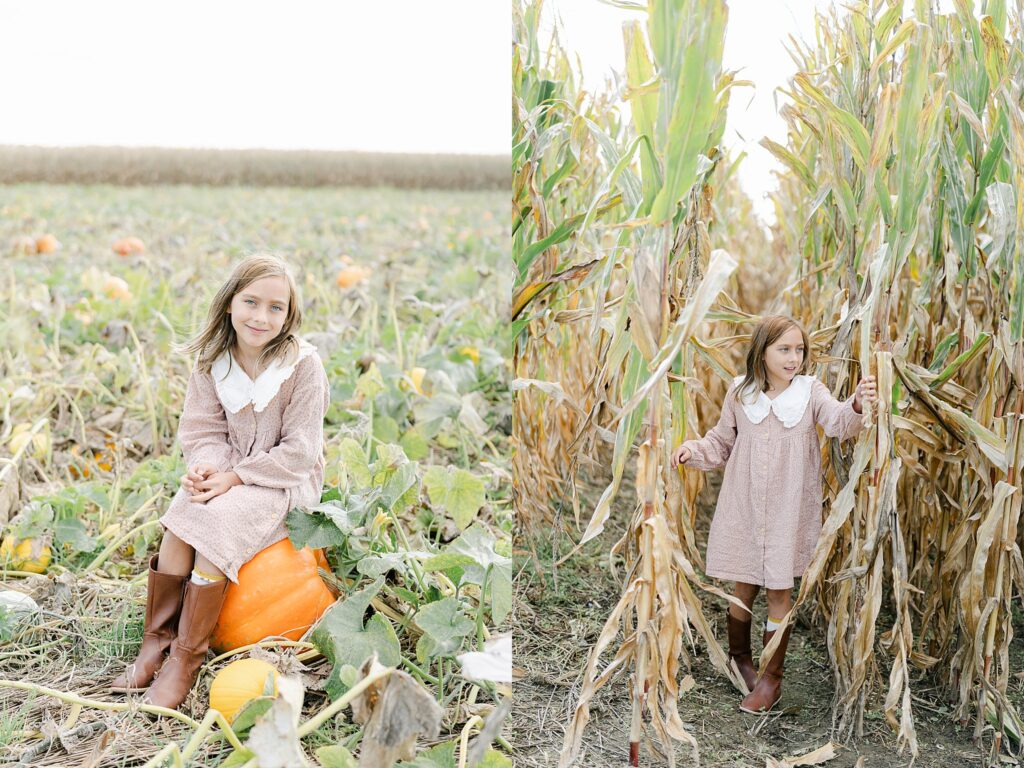 Little girl walks through a cornfield and sits on a huge pumpkin in a pumpkin patch outside of West Chester PA 