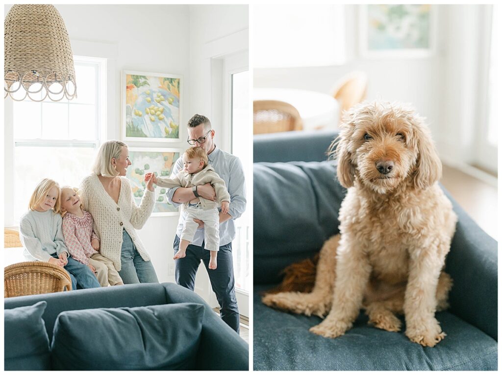 Family with toddler boy and goldendoodle