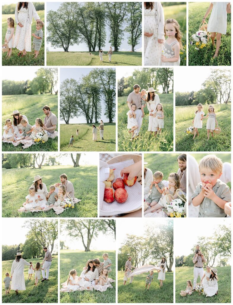 family photos in chester county pa